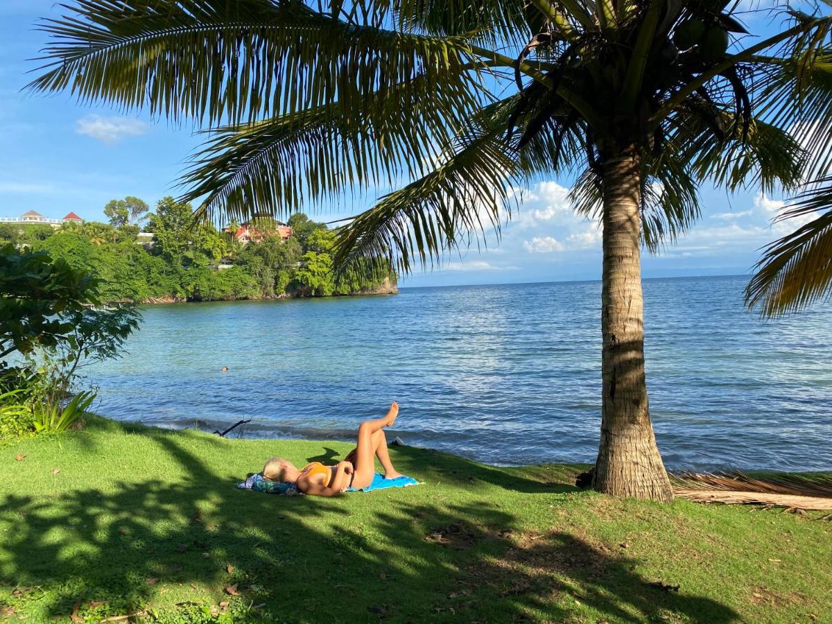 The Water Melon House Apartment Samana ภายนอก รูปภาพ